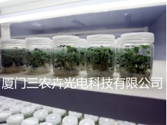 T8育苗生长组培灯，金线莲组培灯，铁皮石斛组培灯， 花卉育苗灯，白芨育苗组培灯，室内育苗组培灯，温室大棚组培灯，各种花卉育苗组培灯，全光谱组培育苗灯，草莓生长补光灯，图4