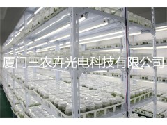 多肉补光灯图2