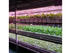 LED大棚植物生长灯图2