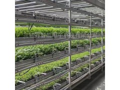 LED大棚植物生长灯图3