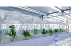 T8-多肉补光灯图2