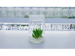 T20-多肉补光灯图2