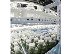 T20蝴蝶兰组培灯图2