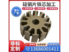 供应日本进口硅钢片50A310矽钢片电工钢  定尺加工 配送图2