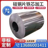 供应日本进口硅钢片35Z145矽钢片电工钢  定尺加工