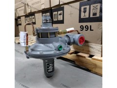 美国fisher费希尔252过滤器，252-5S过滤器图3