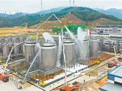 江门市消防宣传月活动启动 综合演练筑牢安全屏障